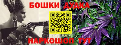 индика Абинск