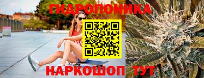 индика Абинск