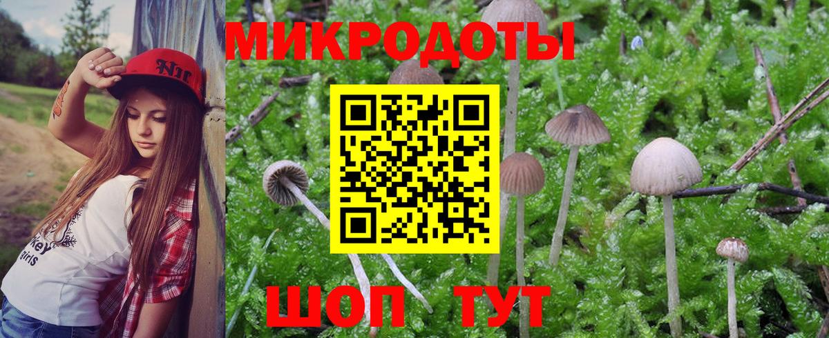 Галлюциногенные грибы прущие грибы Алексин