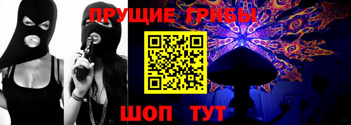 Алексин  Галлюциногенные грибы прущие грибы  Вход с VPN 